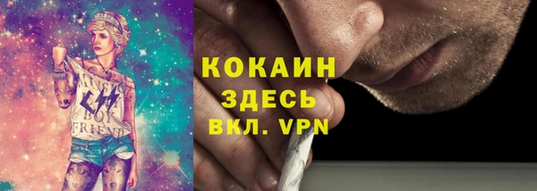 дживик Лагань