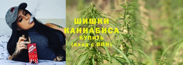 гашик Ладушкин