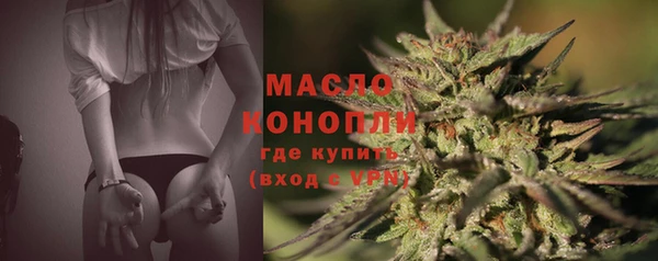 гашик Ладушкин