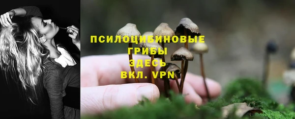 дживик Лагань