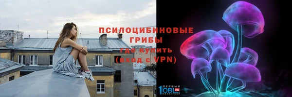 дживик Лагань