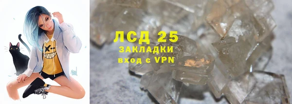 дживик Лагань