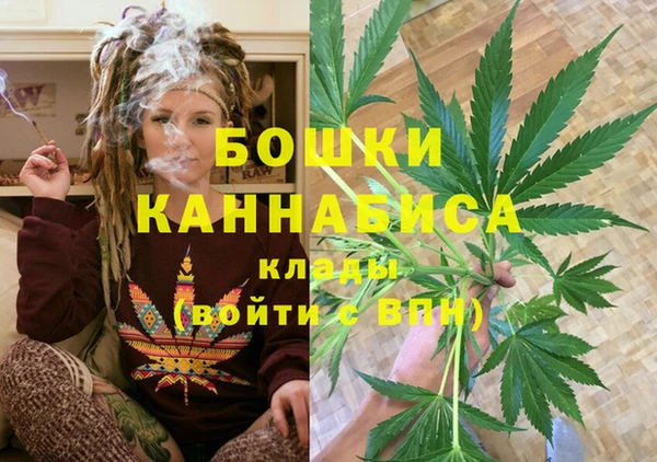 гашик Ладушкин