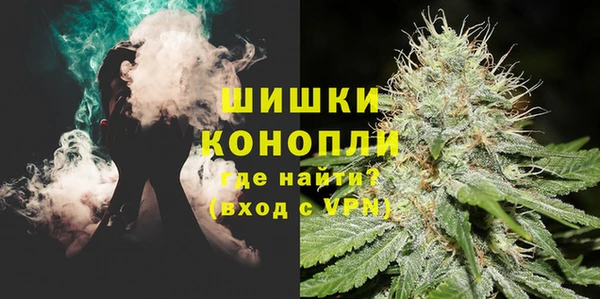 гашик Ладушкин