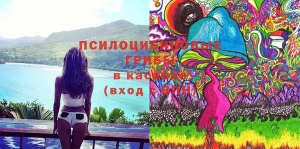 дживик Лагань