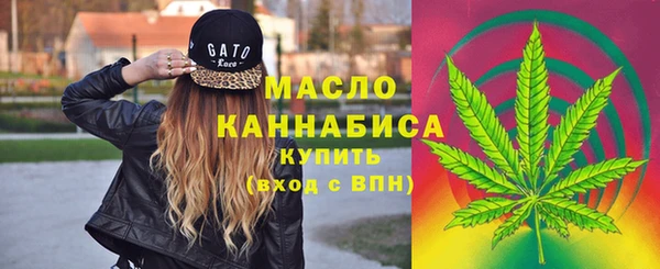 гашик Ладушкин