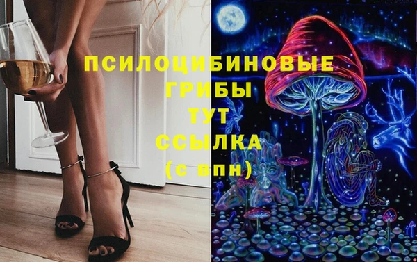 амф Менделеевск