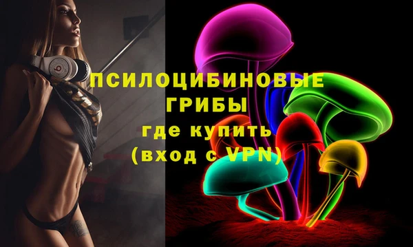 гашик Ладушкин